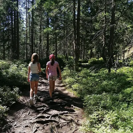 펜션 Strausshaus 그뢰브밍