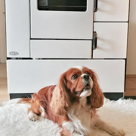 Strausshaus גרובמינג