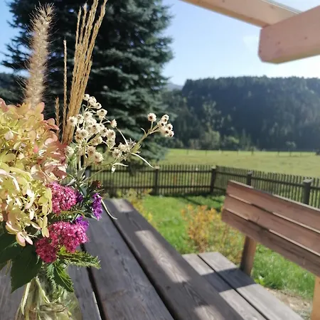 בית נופש Strausshaus *