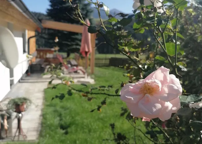 Tatil Evi Strausshaus