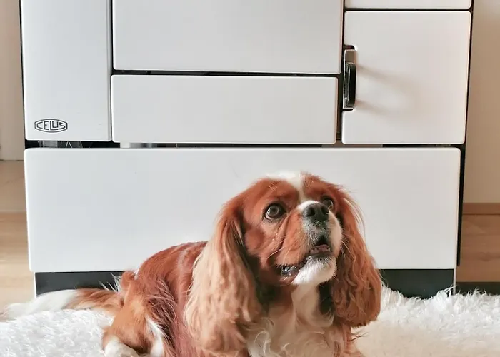 Strausshaus 그뢰브밍